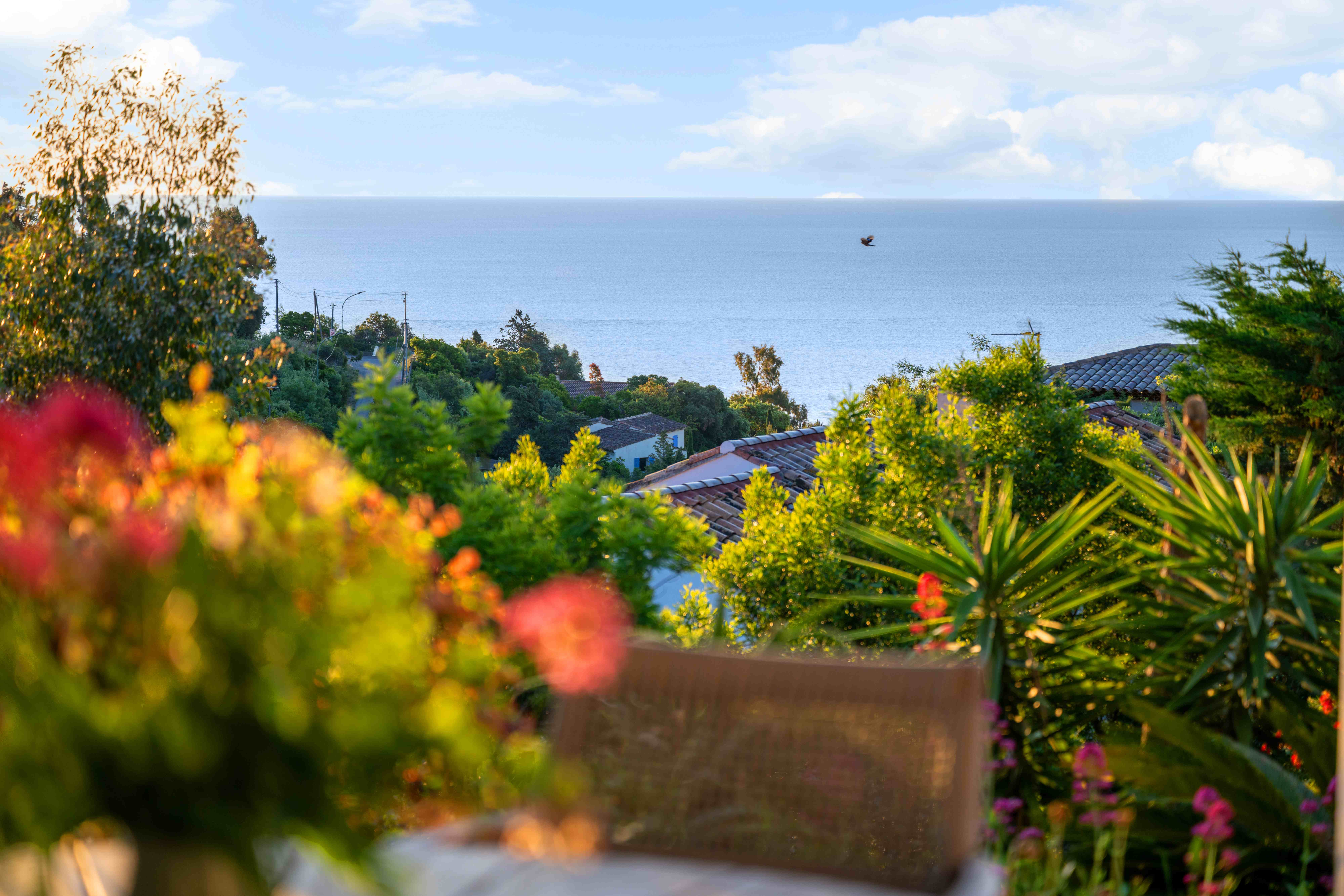 Breathtaking sea view from the villa